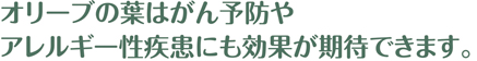 オリーブの葉 効能2 見出し