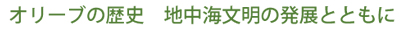 オリーブの歴史　地中海文明の発展とともに